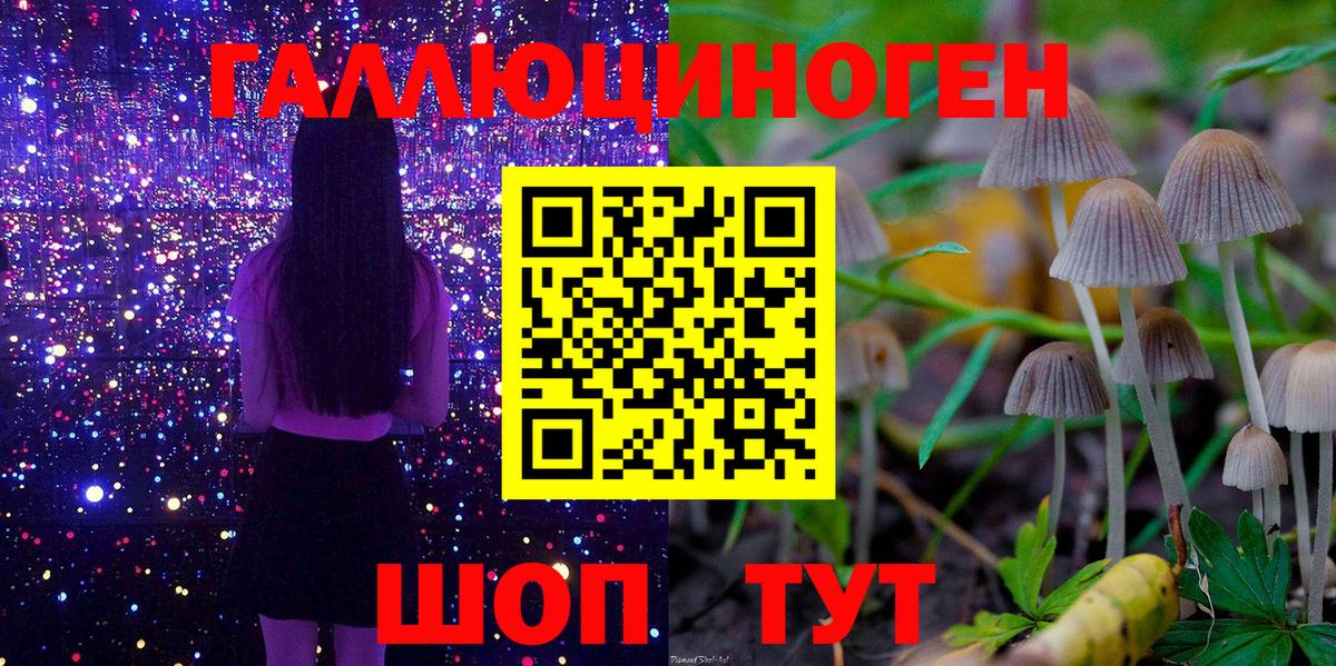Галлюциногенные грибы ЛСД  что такое   Ялуторовск  Псилоцибиновые грибы мухоморы  Вход с VPN 