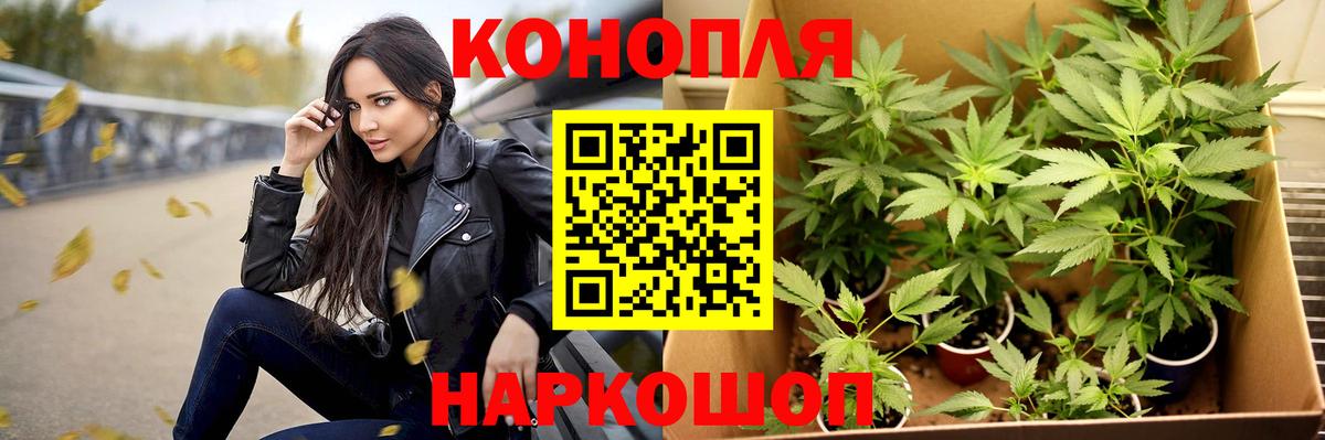 Бошки Шишки MAZAR Ялуторовск